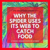 GGG Ep1: Why The Spider Uses its Web to Catch Food